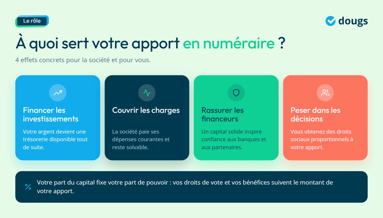 Infographie - À quoi sert votre apport en numéraire ?