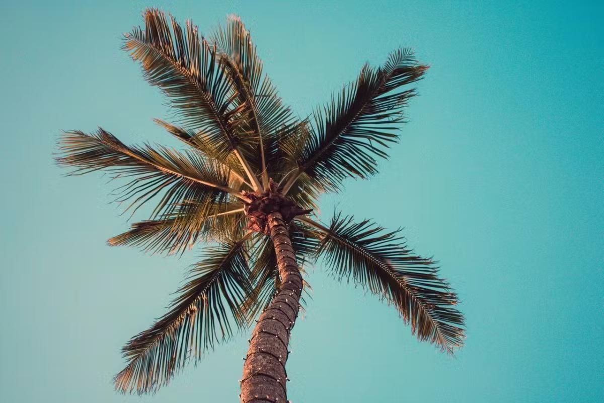 Obligation employeur canicule : anticiper les risques en 2026