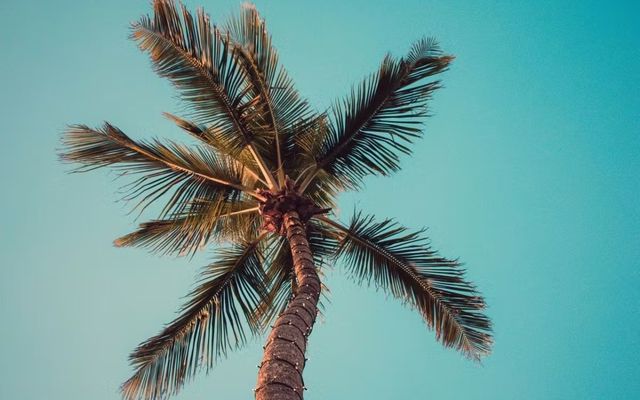 Obligation employeur canicule : anticiper les risques en 2026