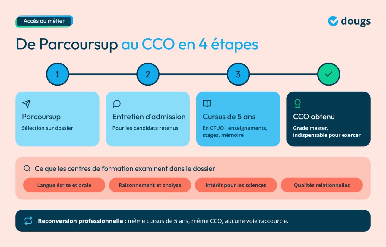 Infographie - De Parcoursup au CCO en 4 étapes