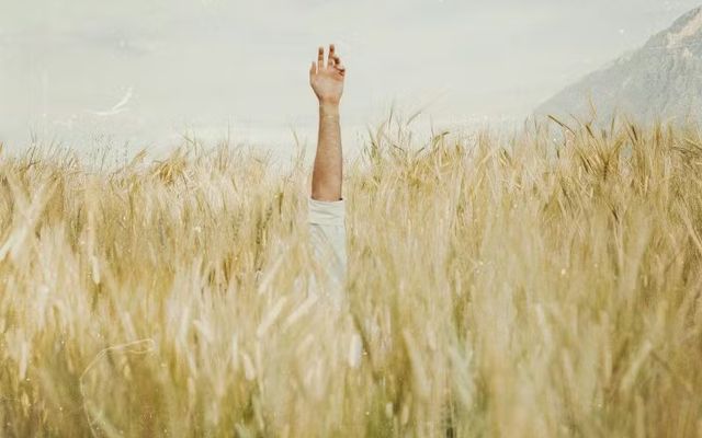 Guide complet sur les aides à la création d’entreprise en 2026