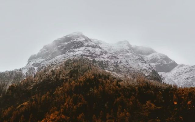 Combien gagne un chiropracteur ? – Salaire chiropracteur