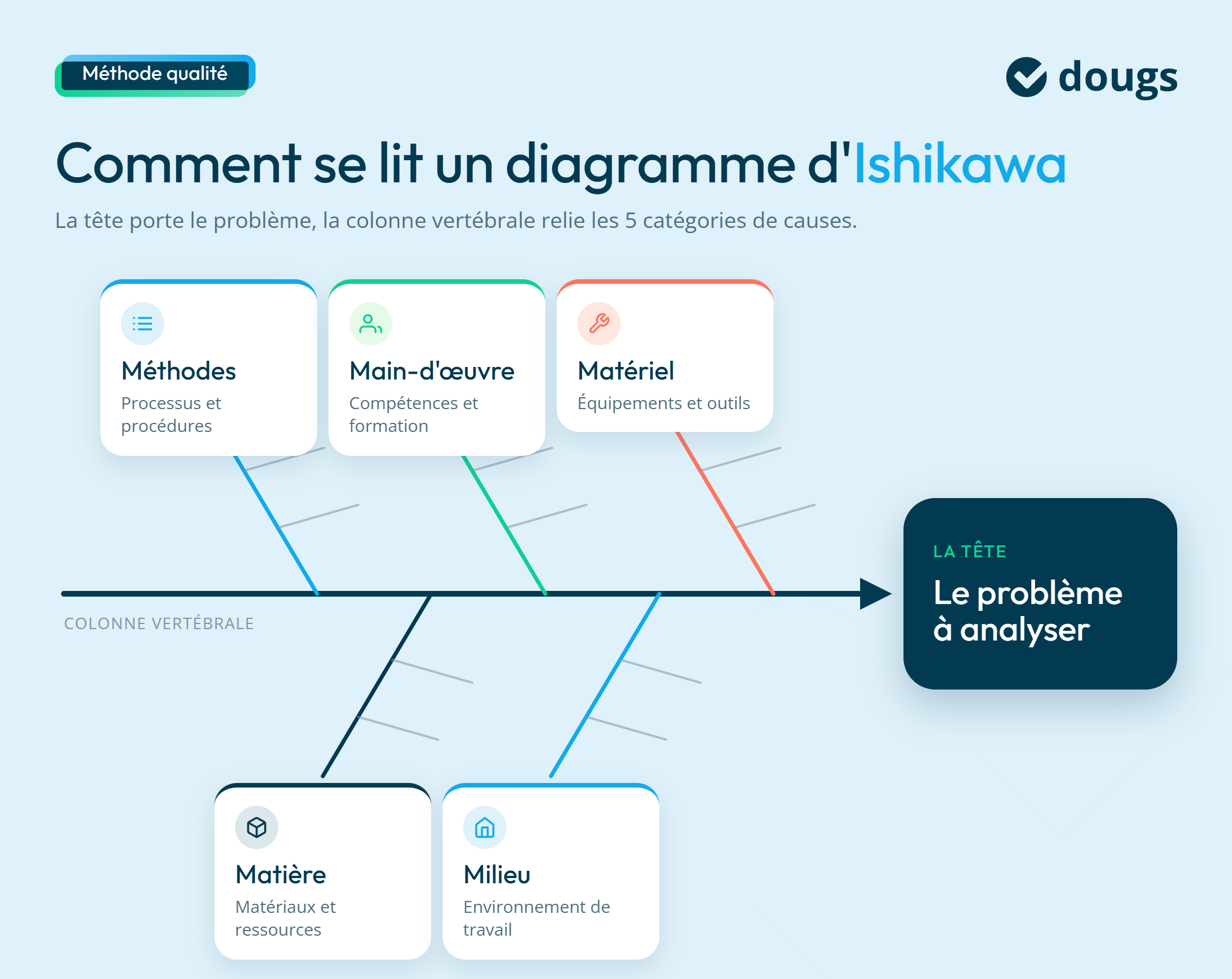 infographie 5m
