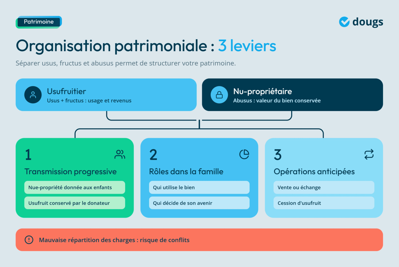 Infographie - Organisation patrimoniale : 3 leviers