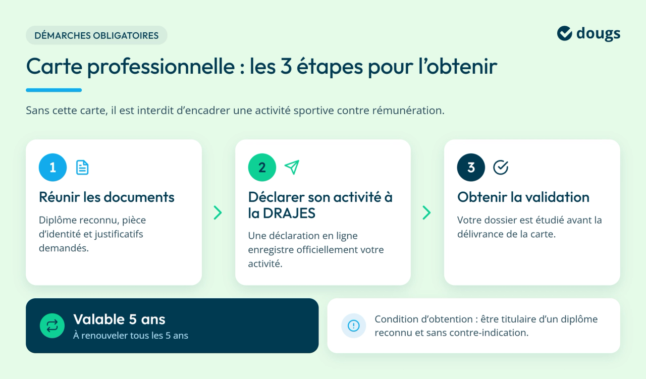 infographie carte pro