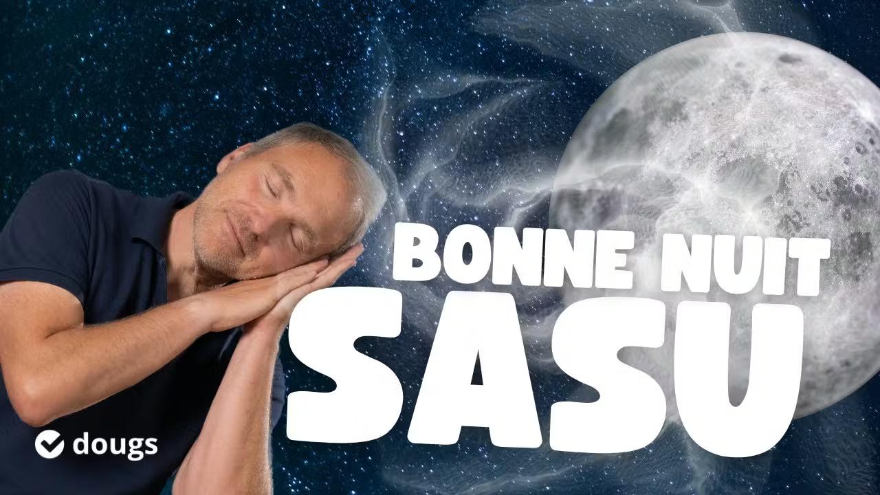 Comment fonctionne la mise en sommeil d'une SASU ?