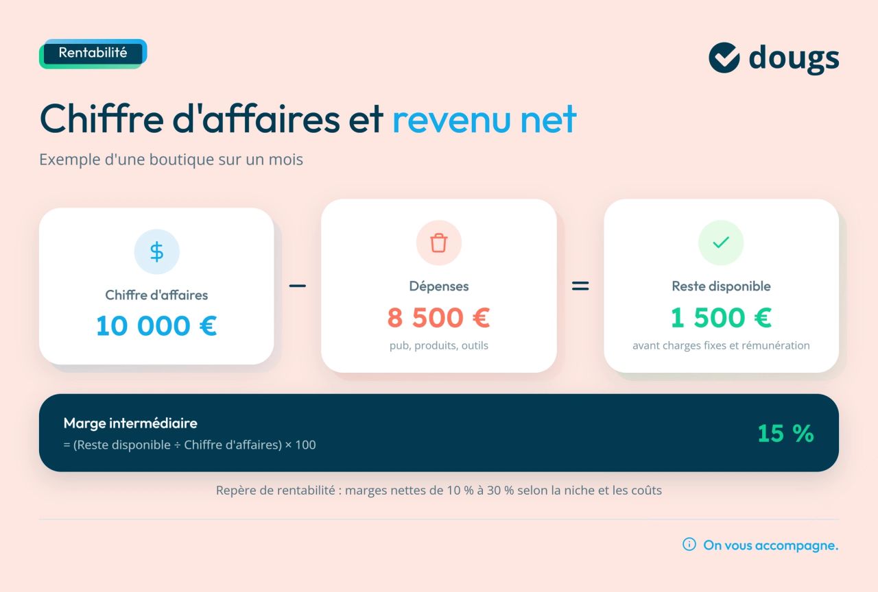 Infographie Chiffre d’affaires et revenu net
