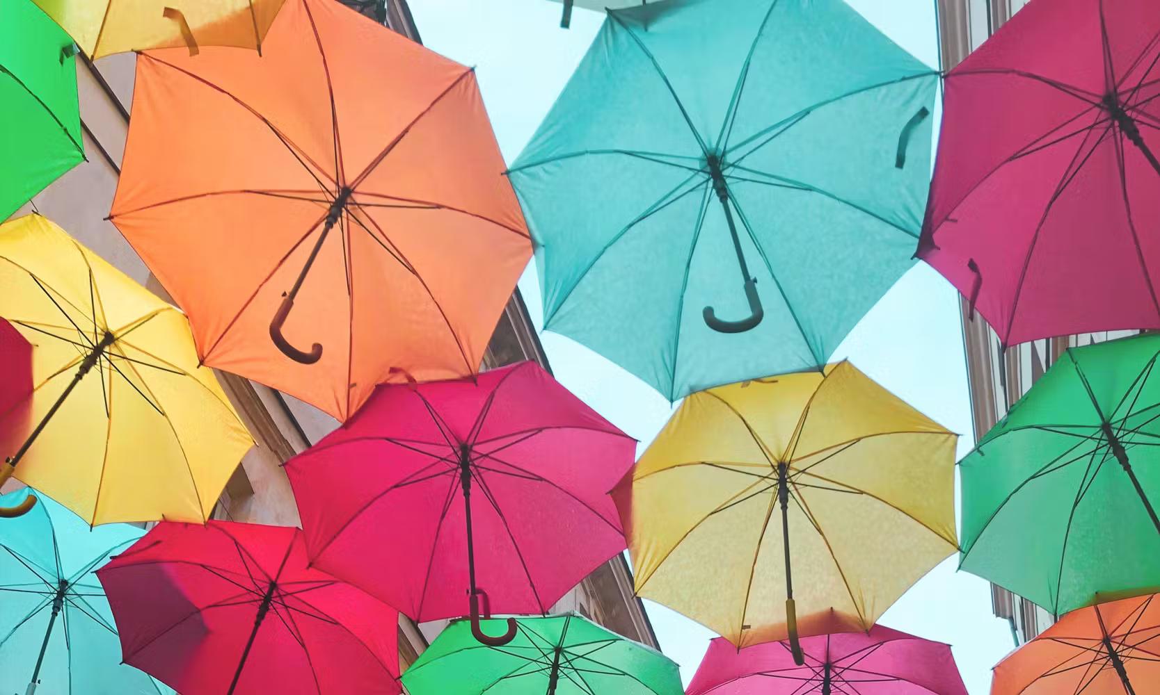 Protection sociale du dirigeant : Faites un point !