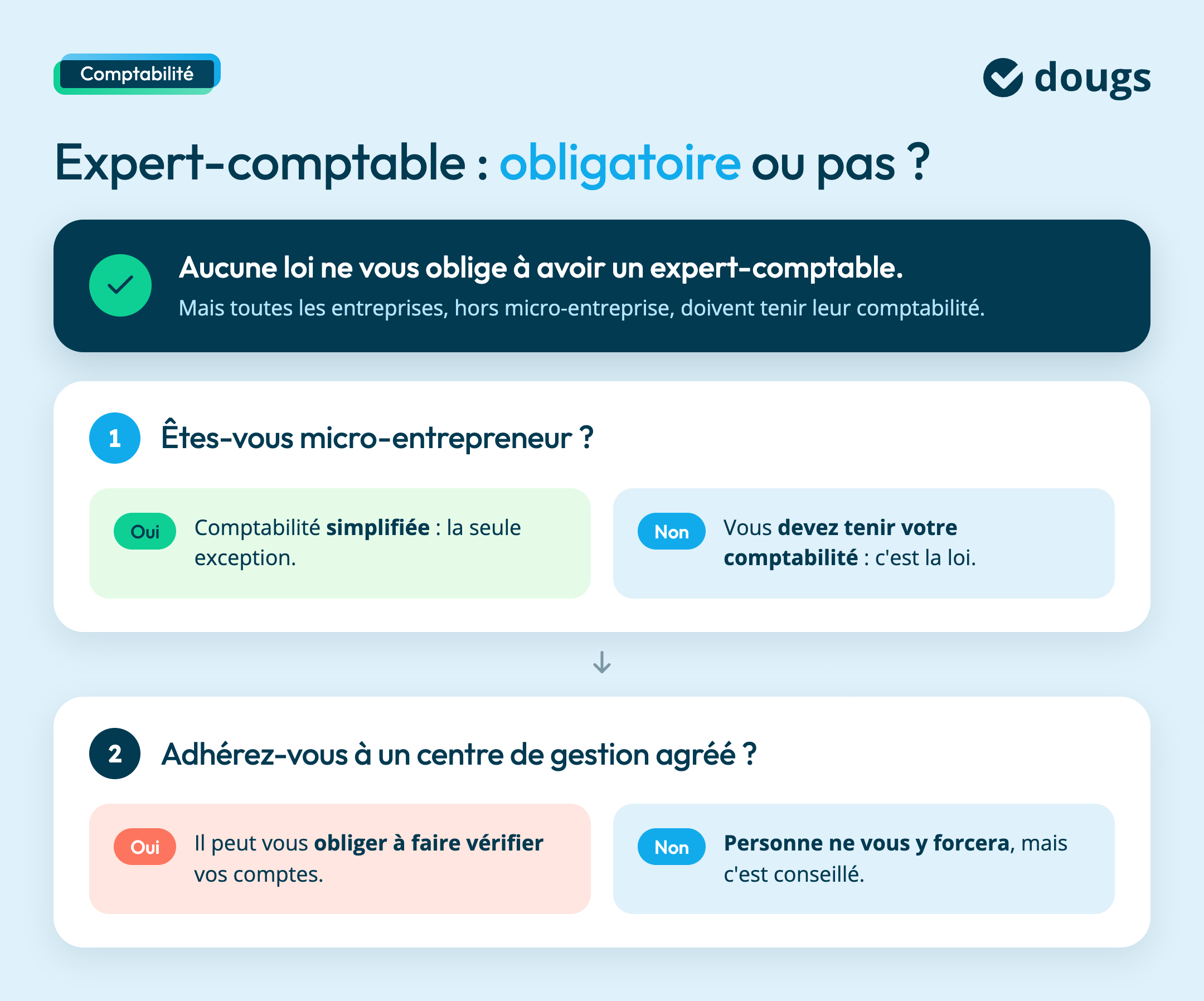 expert-comptable-obligatoire-arbre-decision