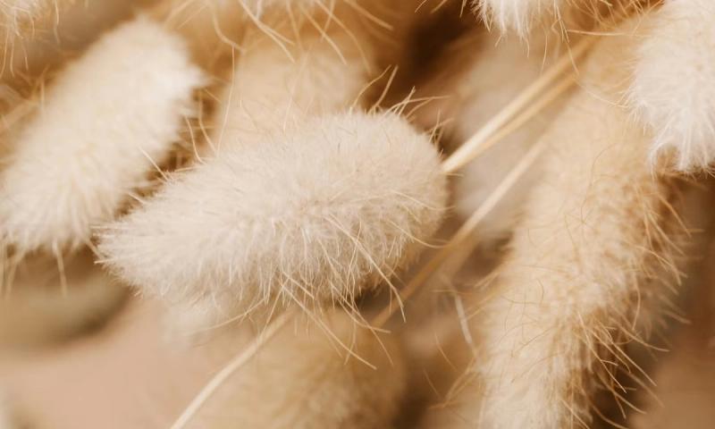 Créer votre Holding ► [Guide complet et conseils 2026]