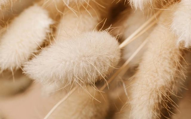 Création holding : tout savoir sur la constitution d'une holding