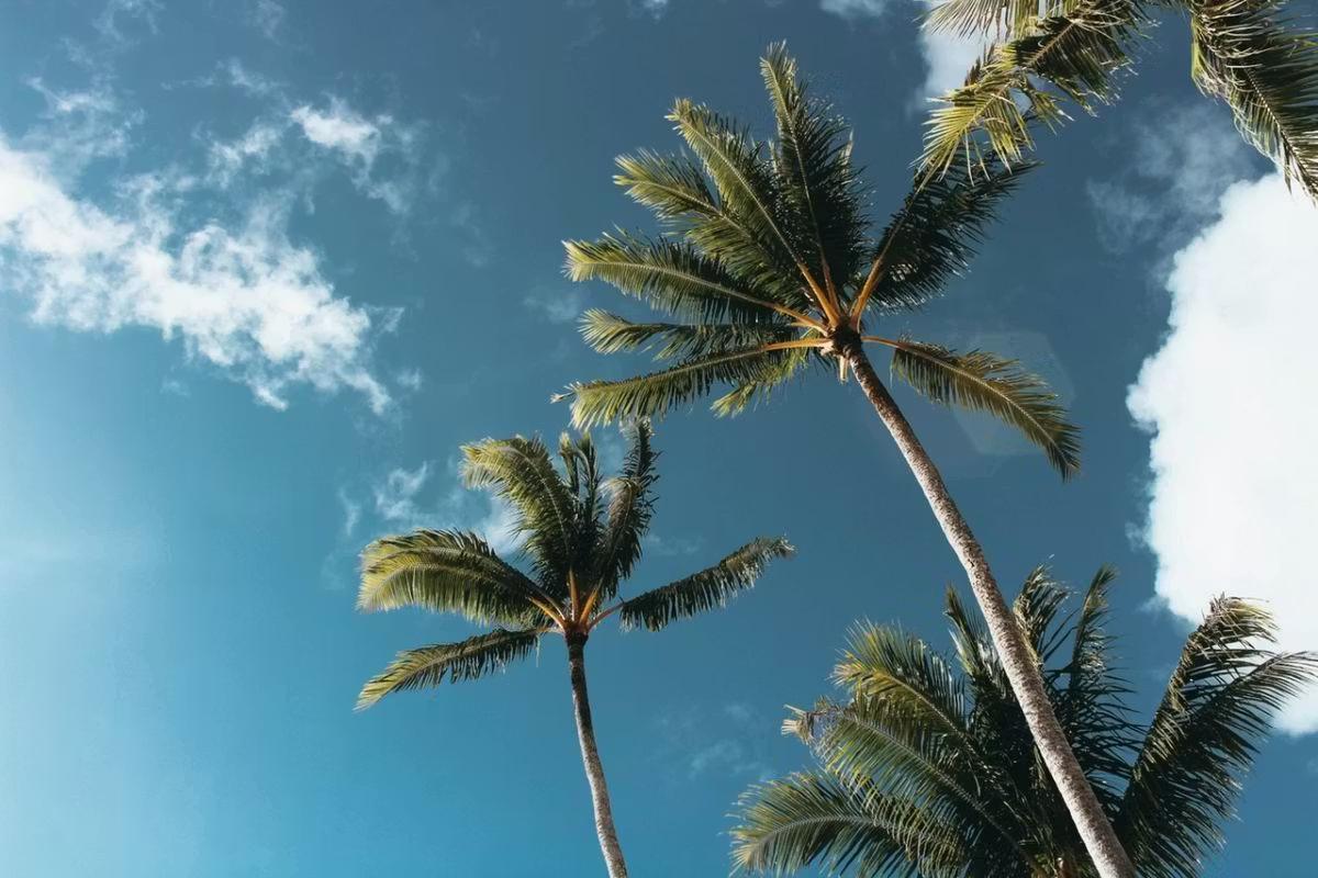 Kbis : définition, utilité, obtention et durée de validité