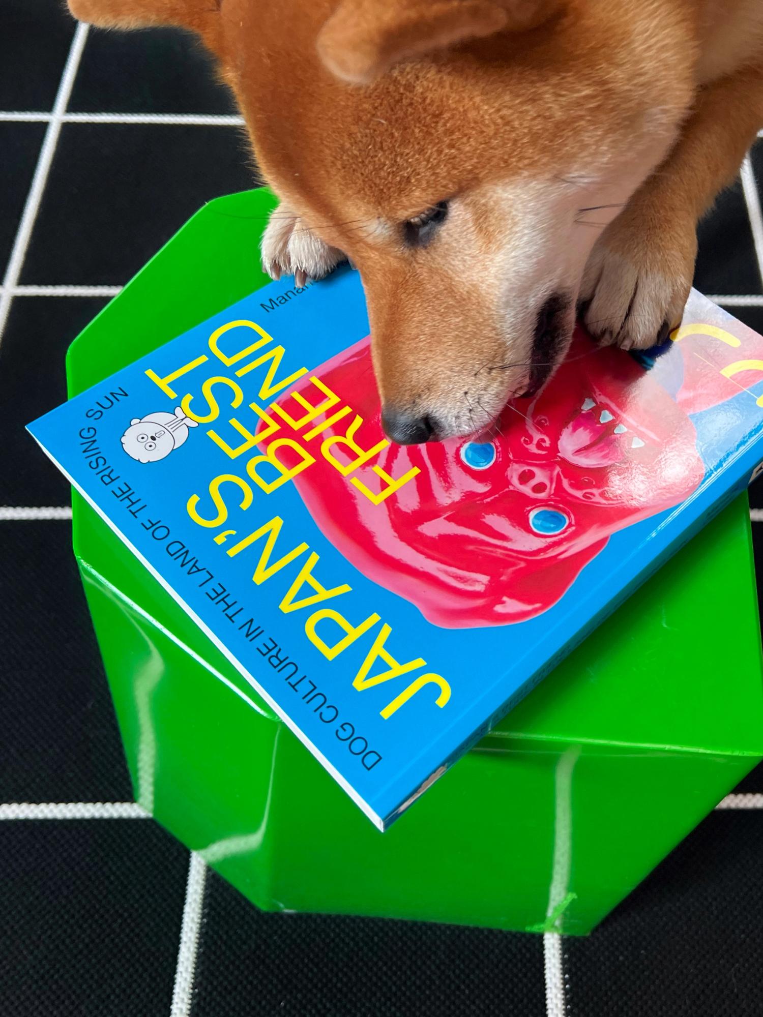 Dog with a book titled "Japan's Best Friend" on a bright green geometric table, black and white grid background.