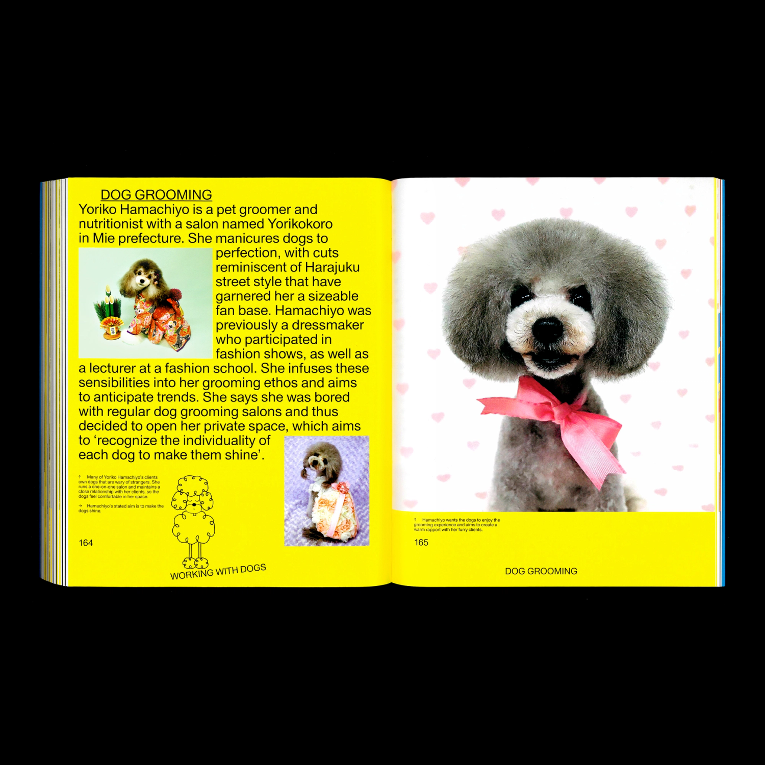 A double-page spread from a book, focusing on the grooming work of Yoriko Hamachiyo from the Japan’s Best Friend book. The left page contains a text block with a yellow background, describing the groomer’s methods and style. The right page features an image of a neatly groomed, fluffy dog with a pink ribbon around its neck.