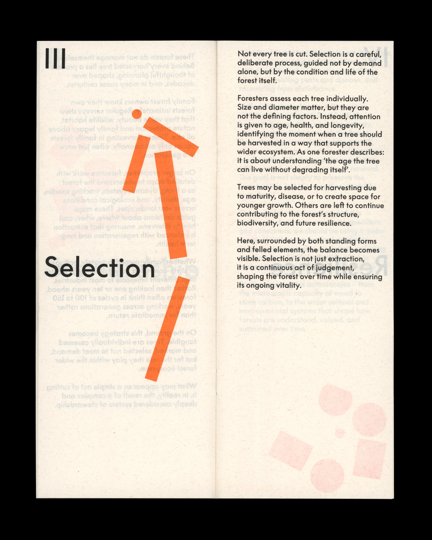 Page titled "Selection" with geometric tree illustration and text on tree harvesting criteria and forest sustainability.