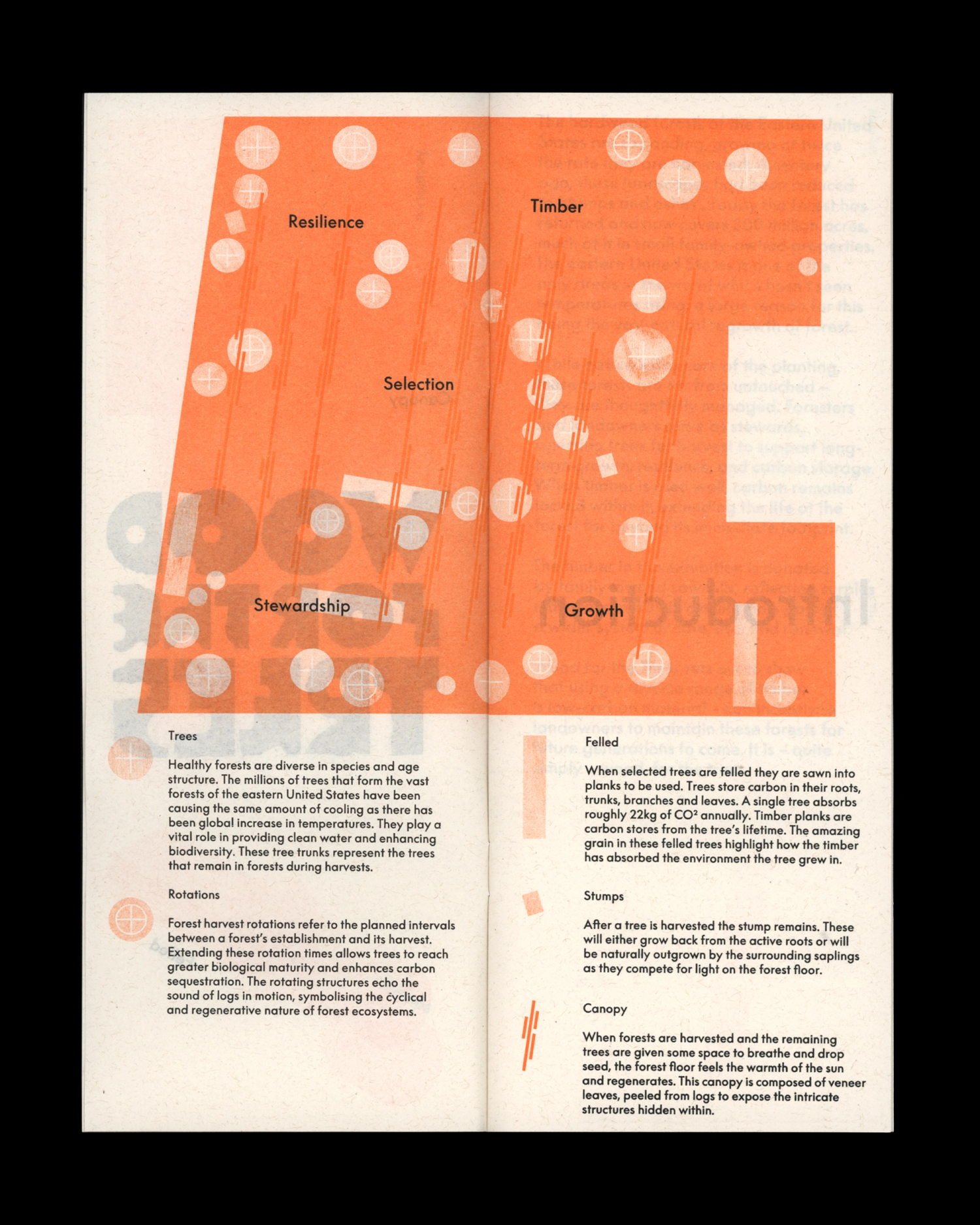Orange diagram with white circular and linear elements labeled Timber, Growth, Resilience, Selection, Stewardship.