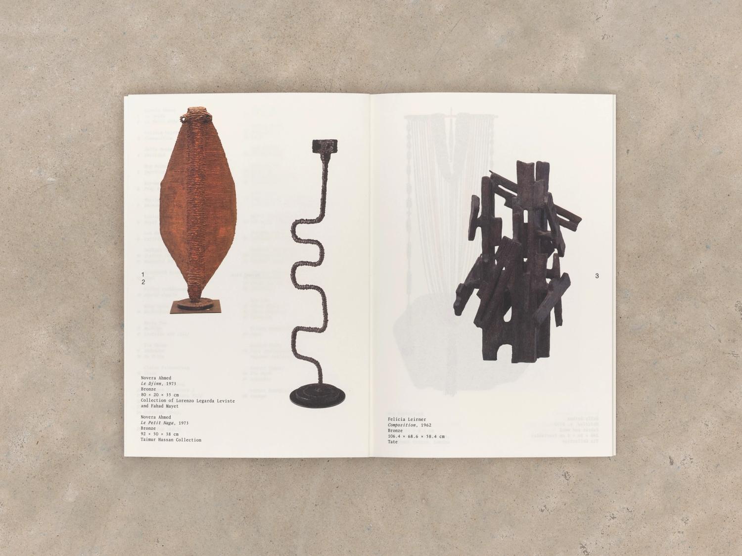 Spread from Beyond Form catalogue showing works by Novera Ahmed and Felicia Lierner