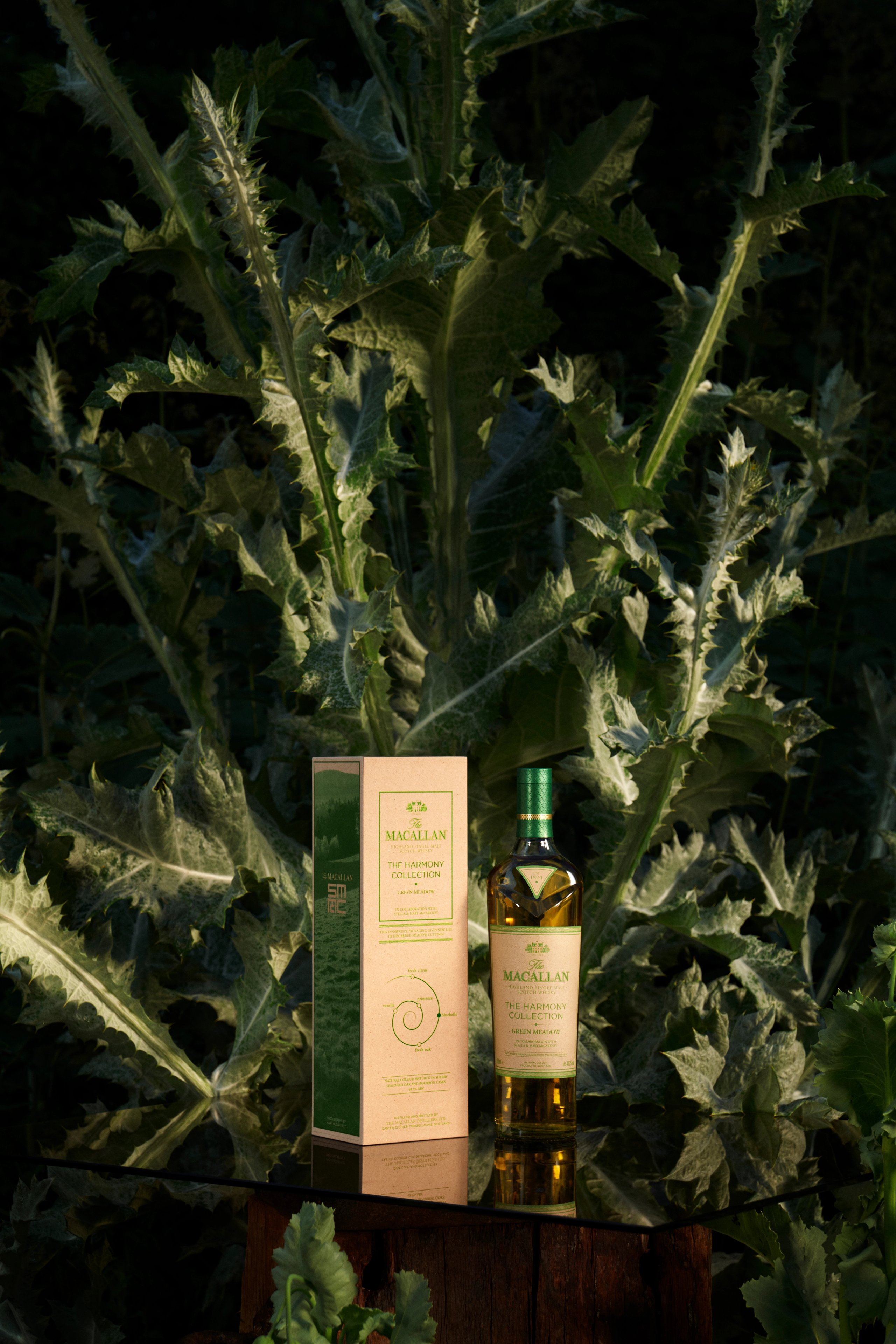 Macallan Harmony Collection Green Meadow bottle and box on glass surface surrounded by lush green foliage