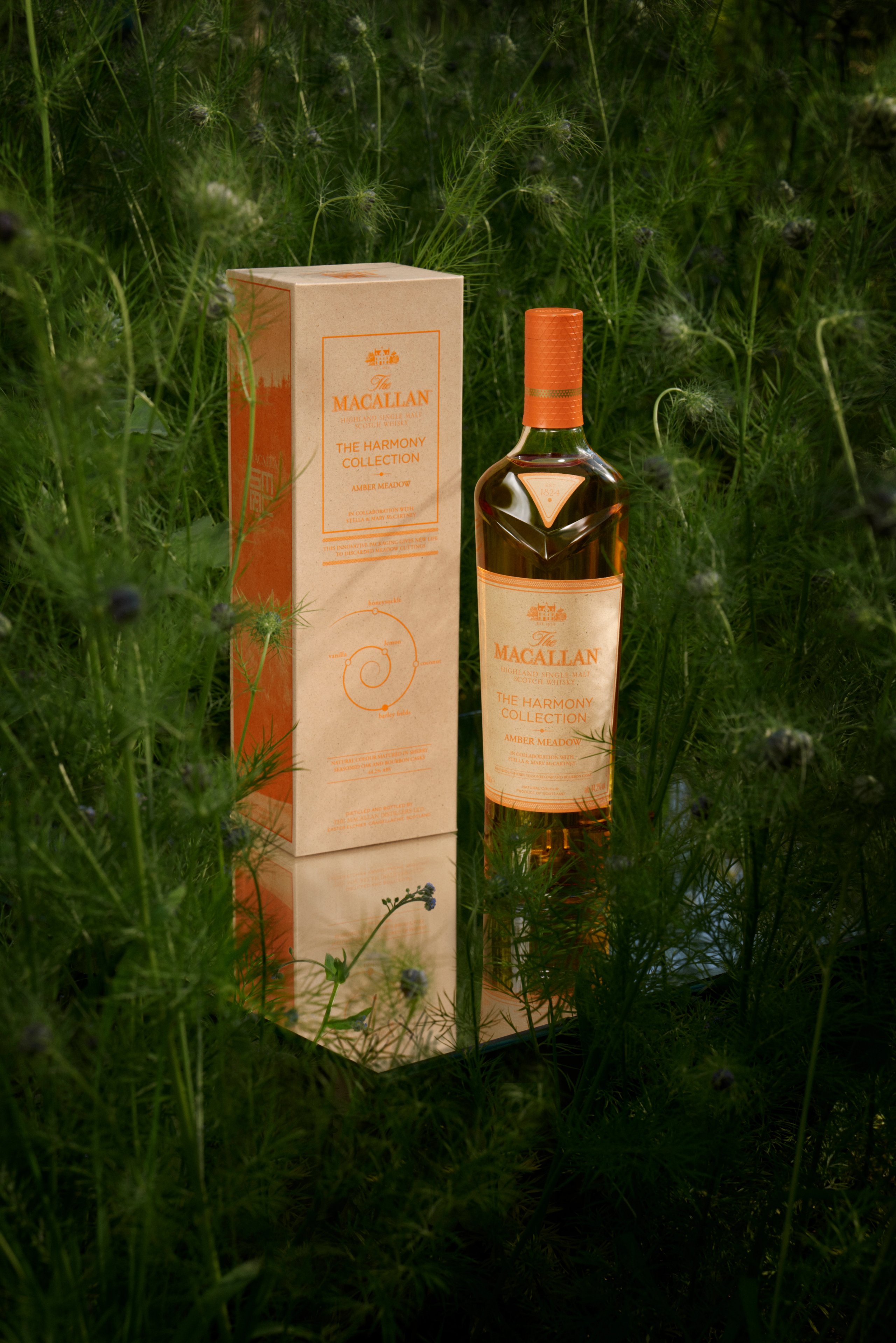 Macallan Harmony Collection Amber Meadow bottle and box nestled in wildflower meadow grasses