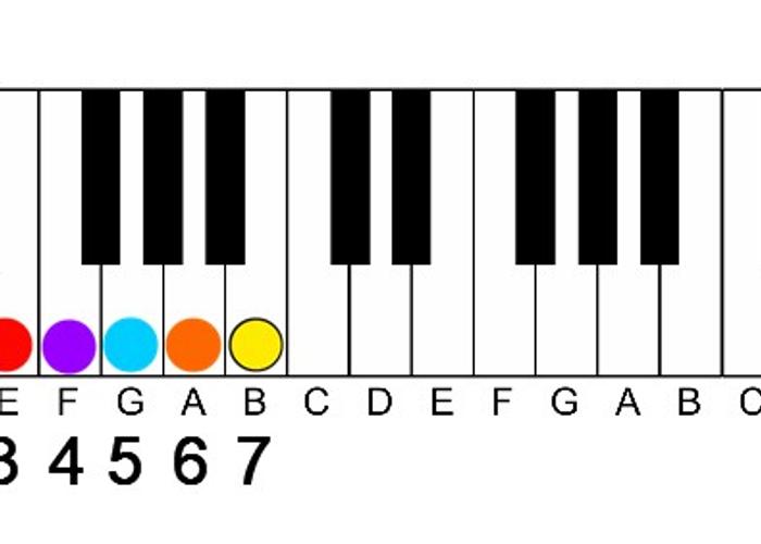 Begin With the Essentials That Count the Most.