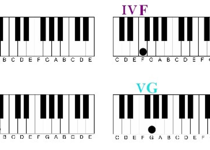 Learn the Four most common chords.