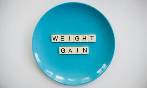 weight gain on plate - Apps to Help Gain Weight