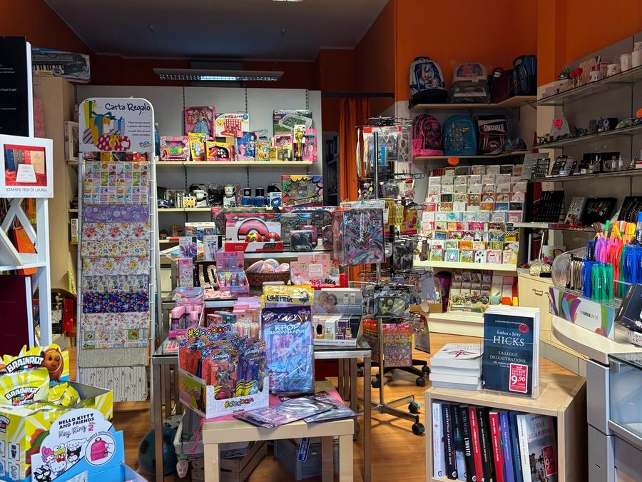 Interno della cartoleria 1