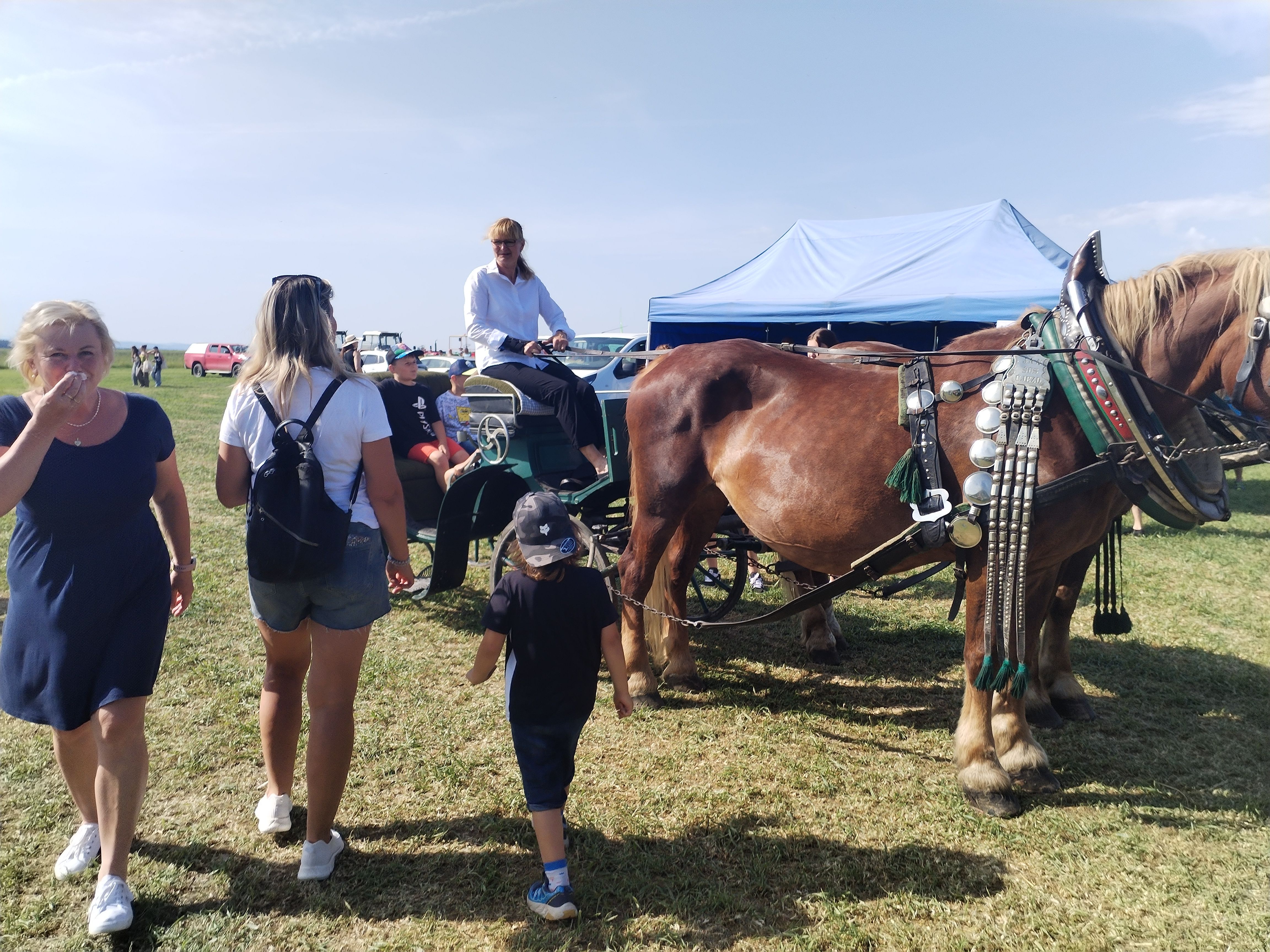 Zemědělská výstava 2025
