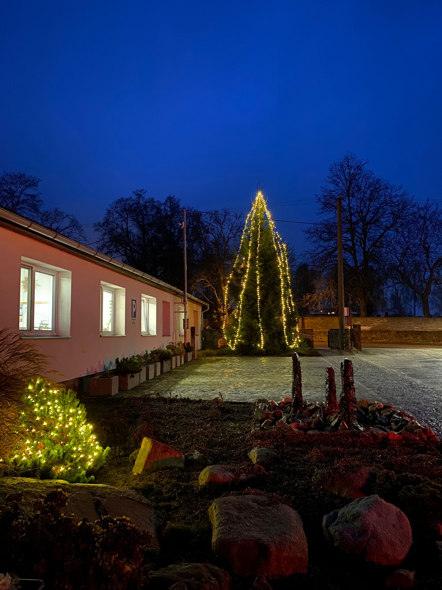 Obrázek příspěvku