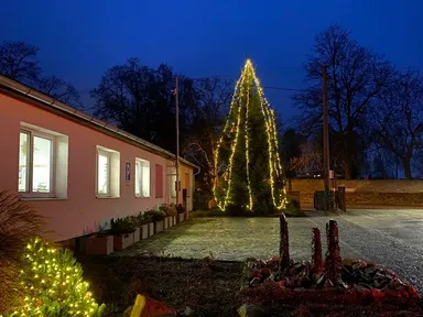 Obrázek příspěvku