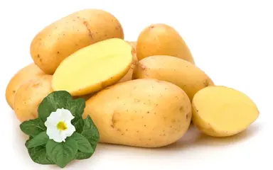 Obrázek příspěvku