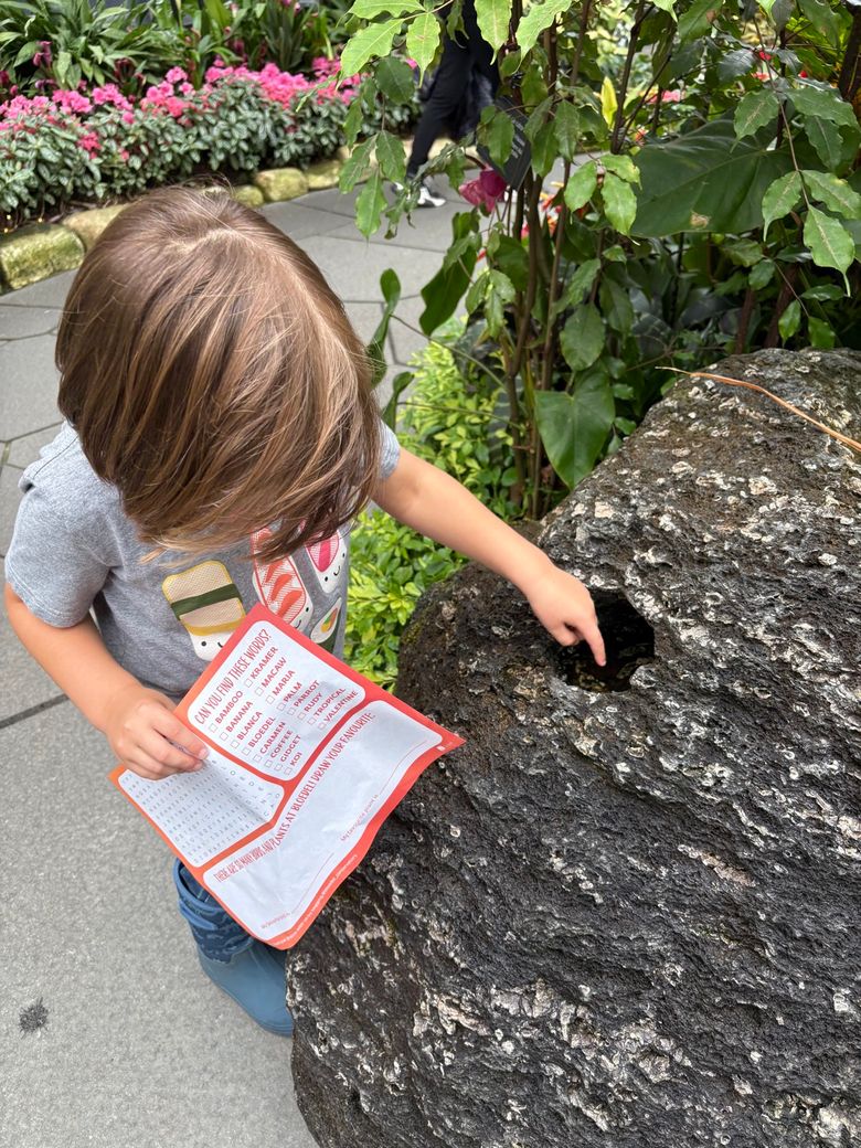 A hands-on learning activity