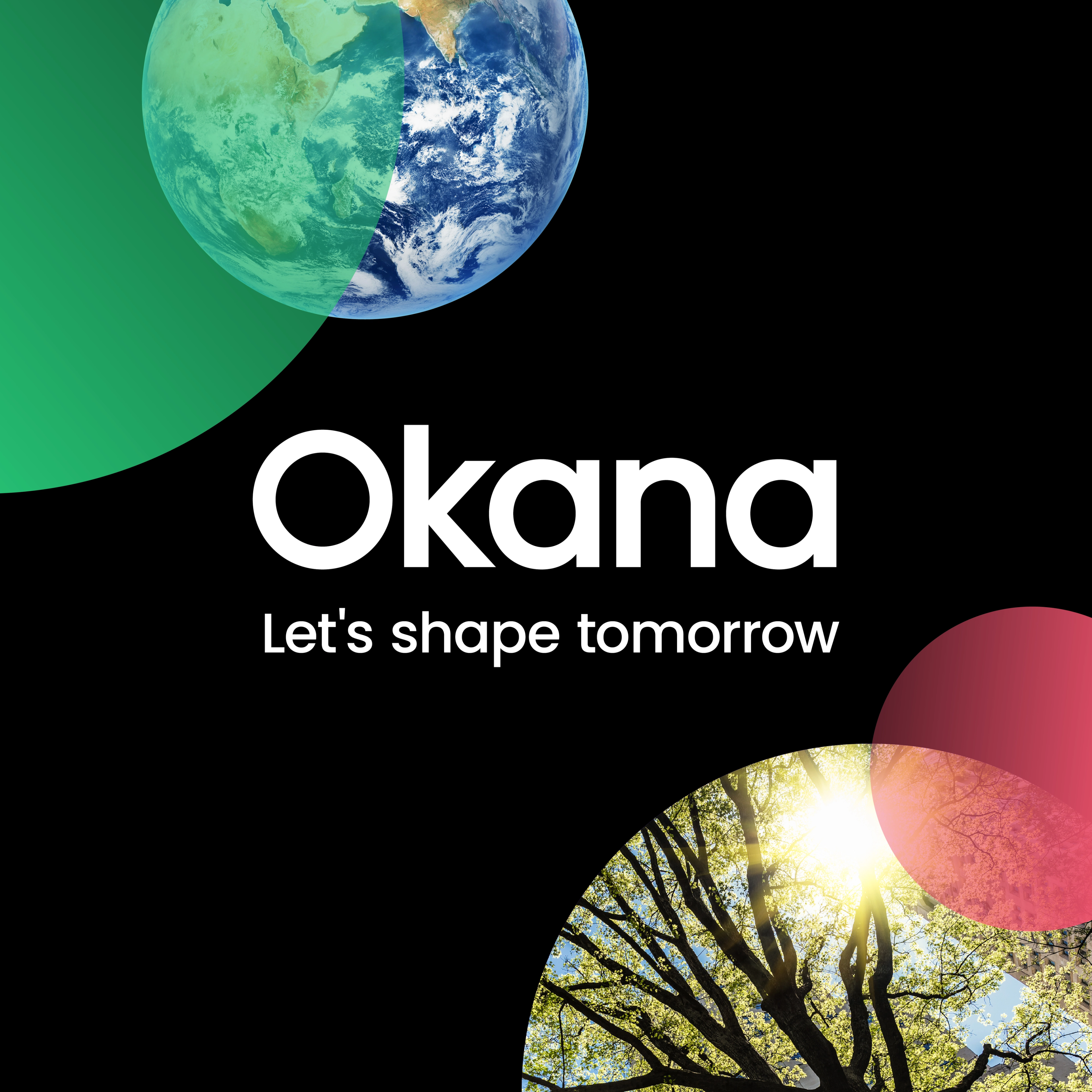 Okana banner image