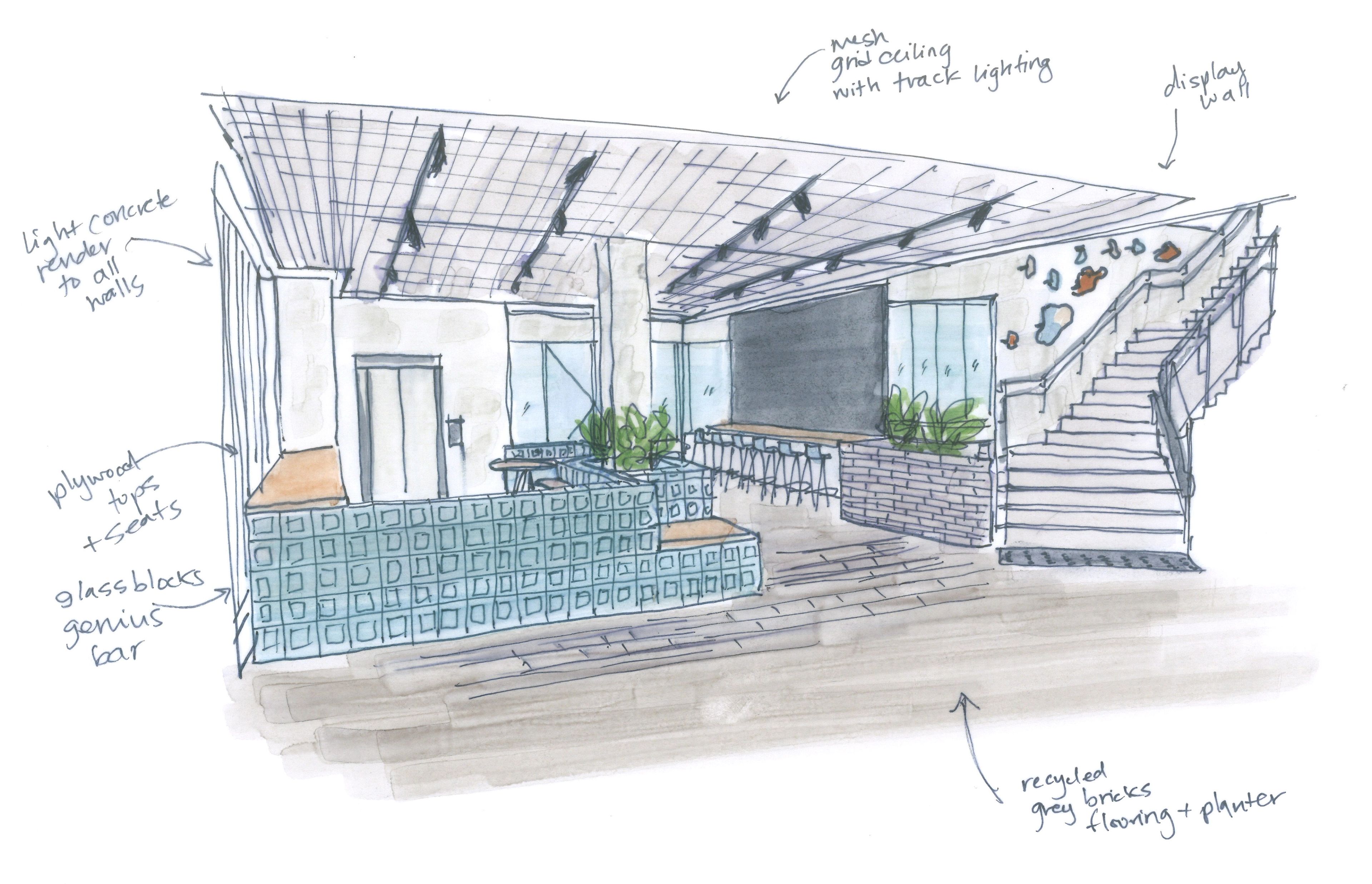 Concept sketches for Hills Grammar LIC in Kenthurst, NSW.