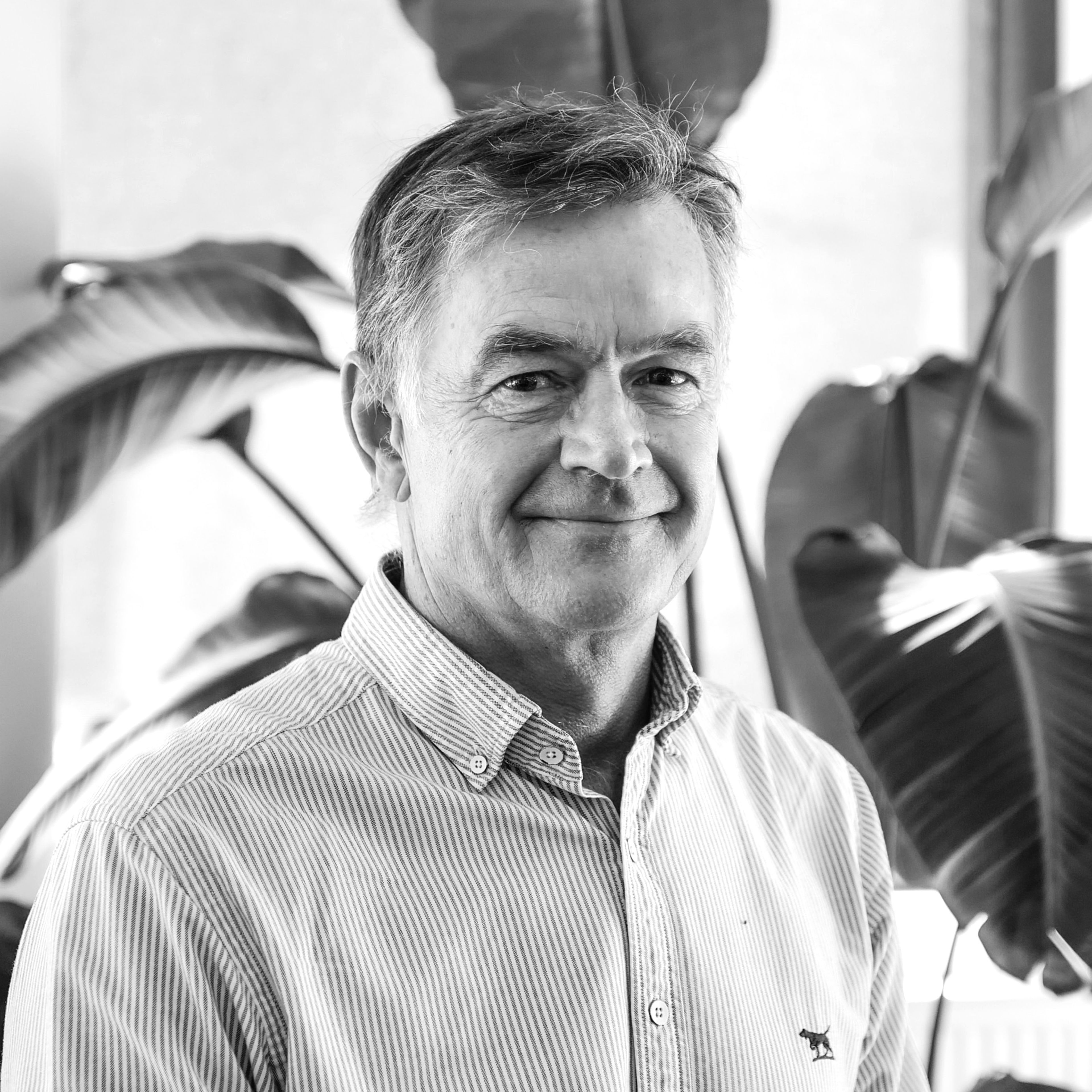 Frank Bienefelt