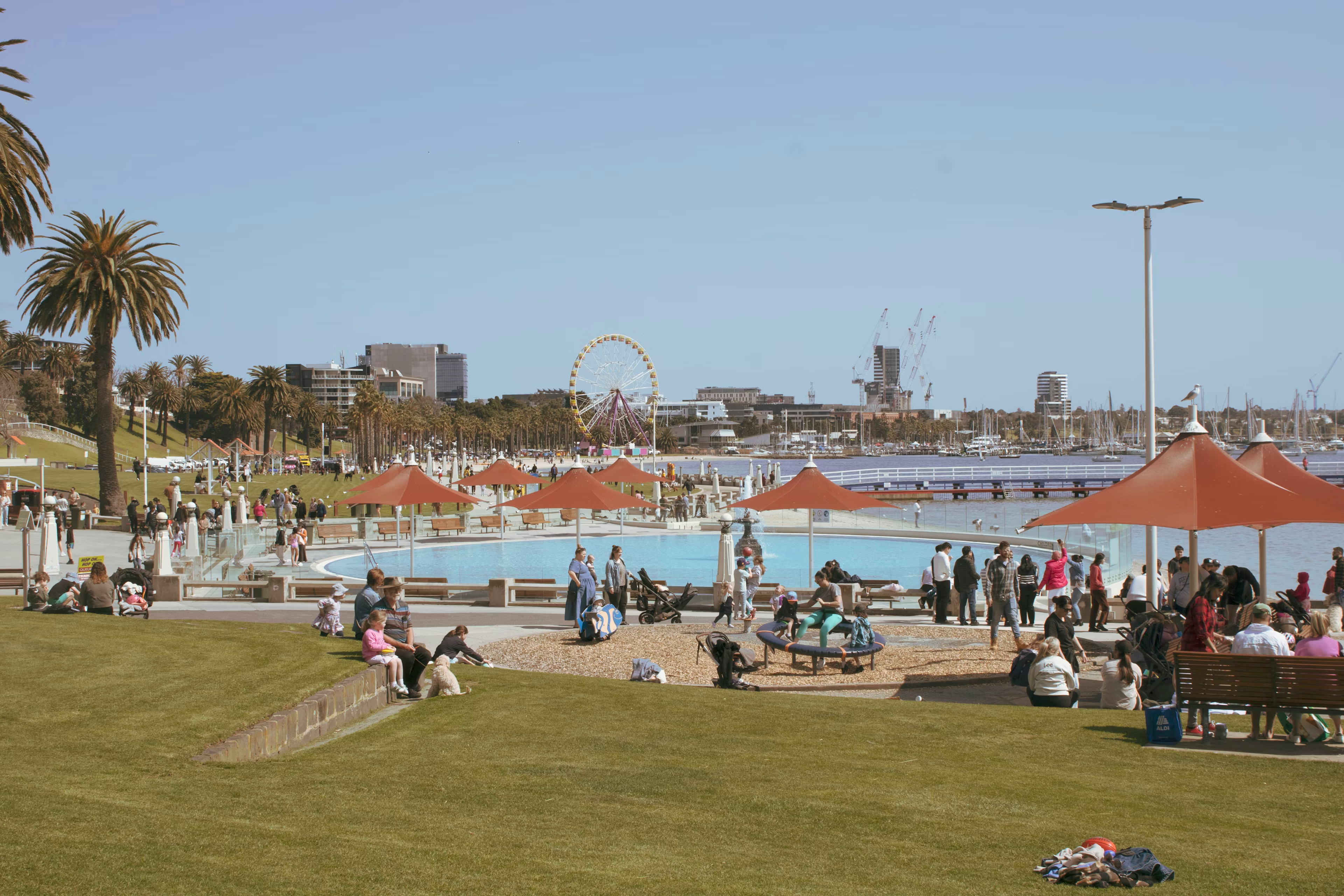 A busy beachside park in Geelong