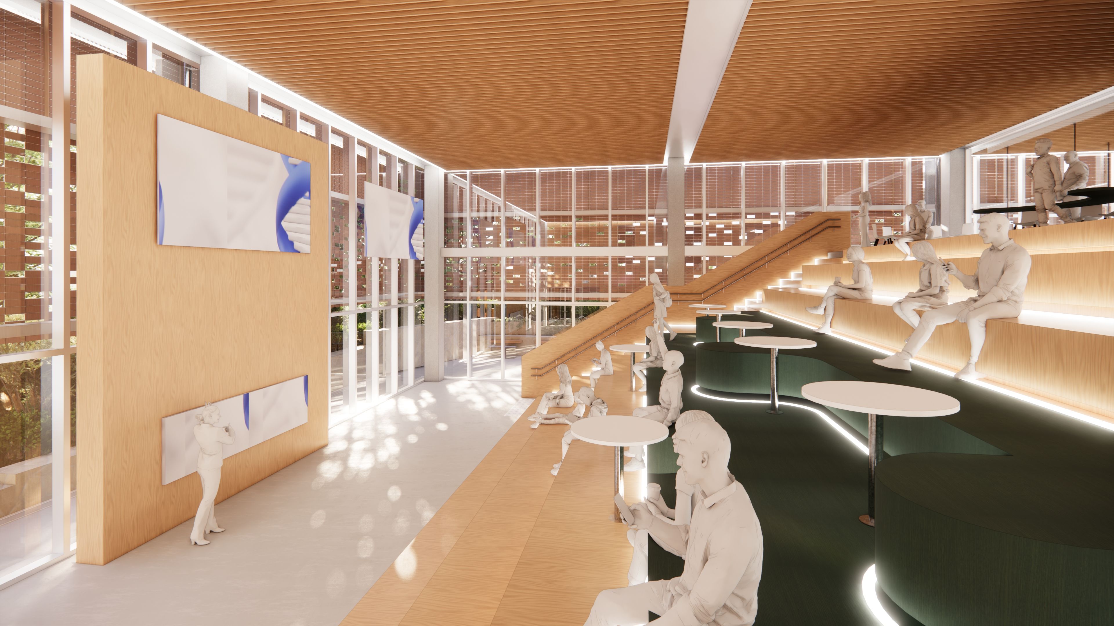 Render of the amphitheatre at Hills Grammar Learning Innovation Centre in Kenthurst, NSW.
