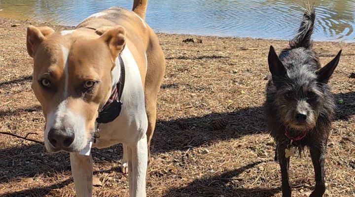 My Personal Injuries and illness hardship