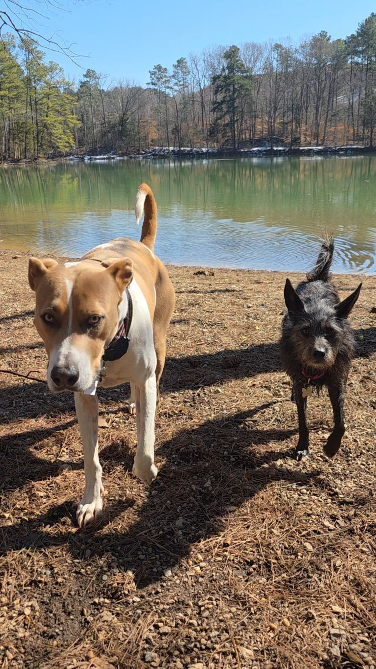 My Personal Injuries and illness hardship