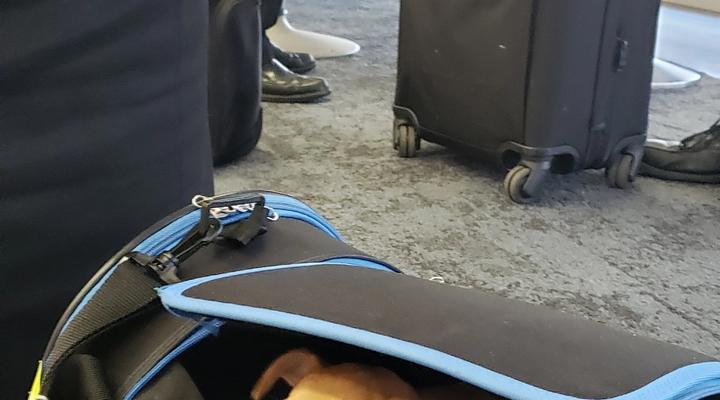 What type of pet transportation does -00t0  Enterprises offer?