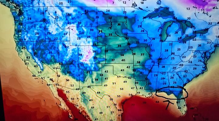 Pet travel severe storm apps