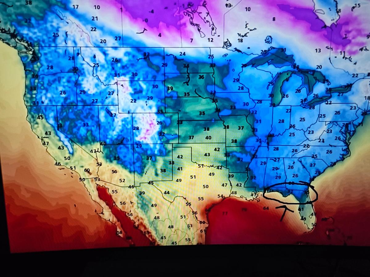 Pet travel severe storm apps