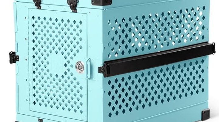 OOTO Enterprise: Your Trusted Pet Transportation Partner