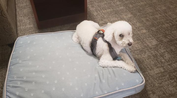 Ground Transportation: Price factors summary