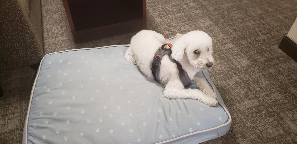 Ground Transportation: Price factors summary