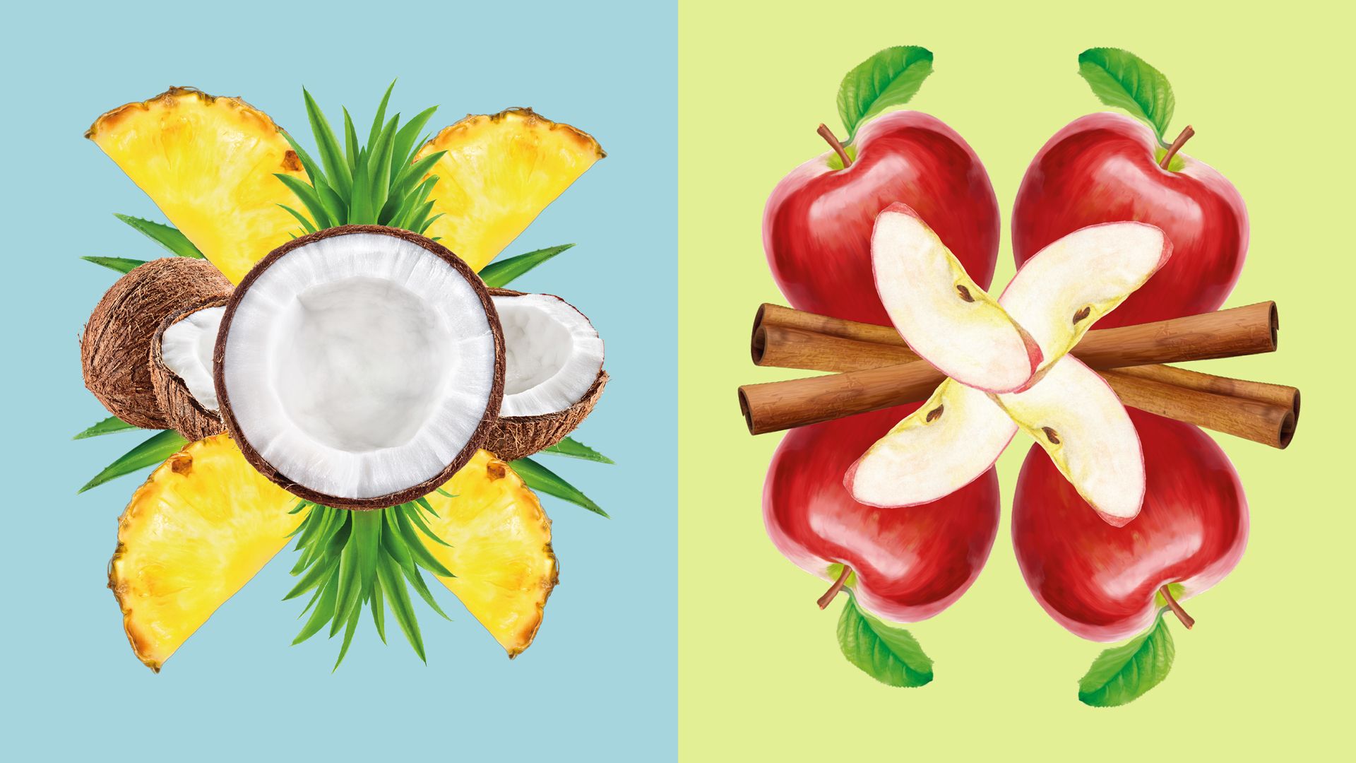 Illustrasjoner av kokos og vanilje