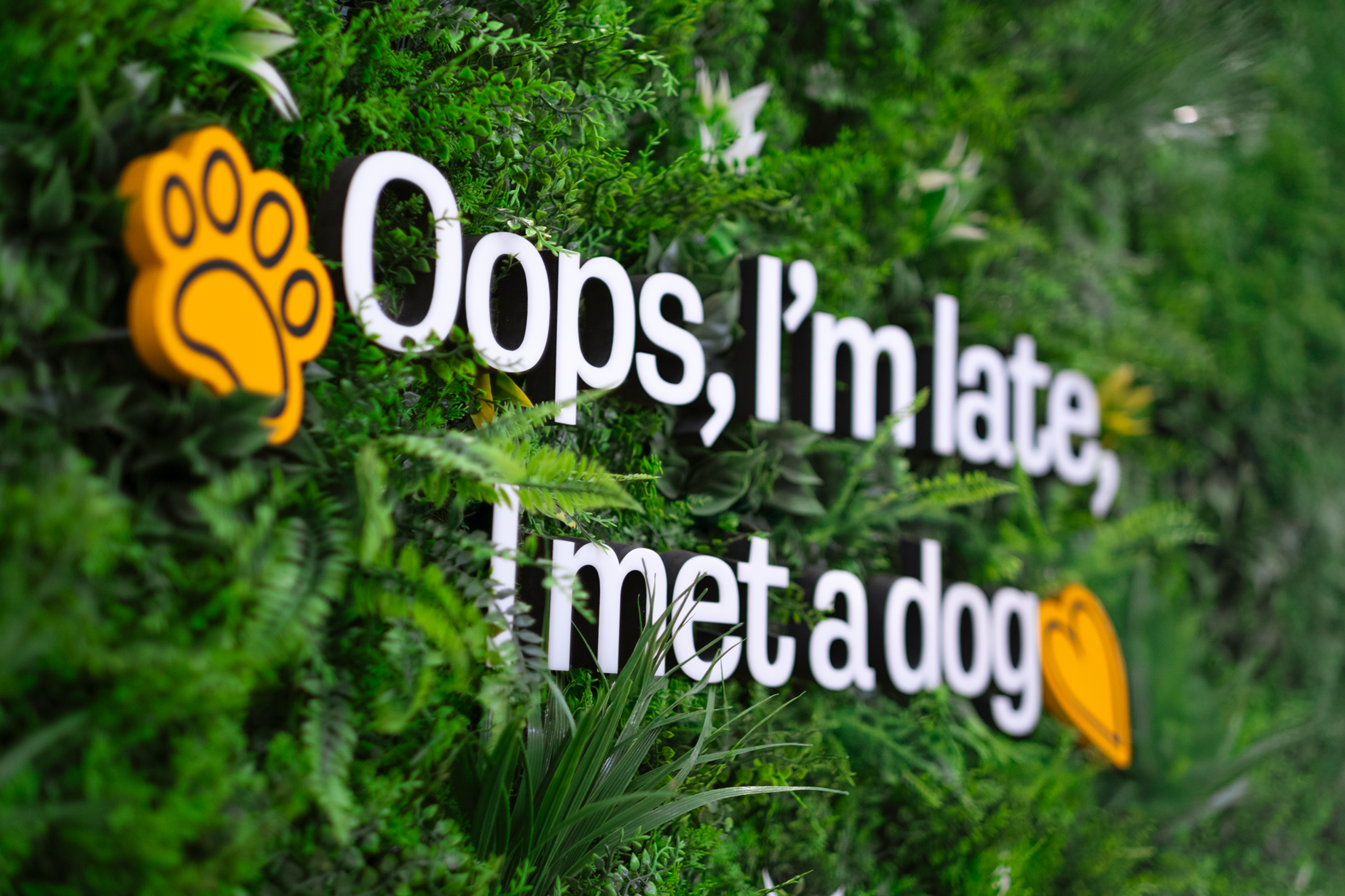 Parken nærbilde av frodig og grønn plantevegg med hvit tekst “Oops, I’m late, I met a dog”. Over teksten er det stickers av en hundepote og et hjerte i oransj og i samme grafiske profil som Parken designet. 