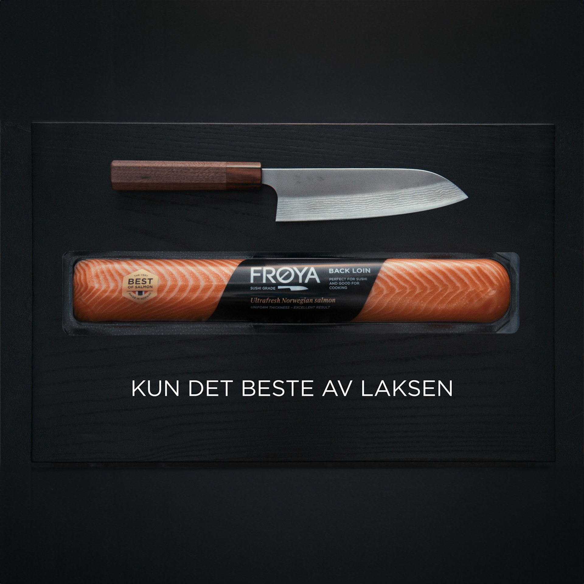 Reklame for Frøya Salmon