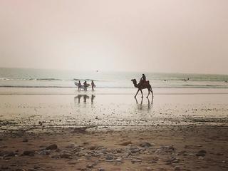 Surf & Cowork in Marokko 