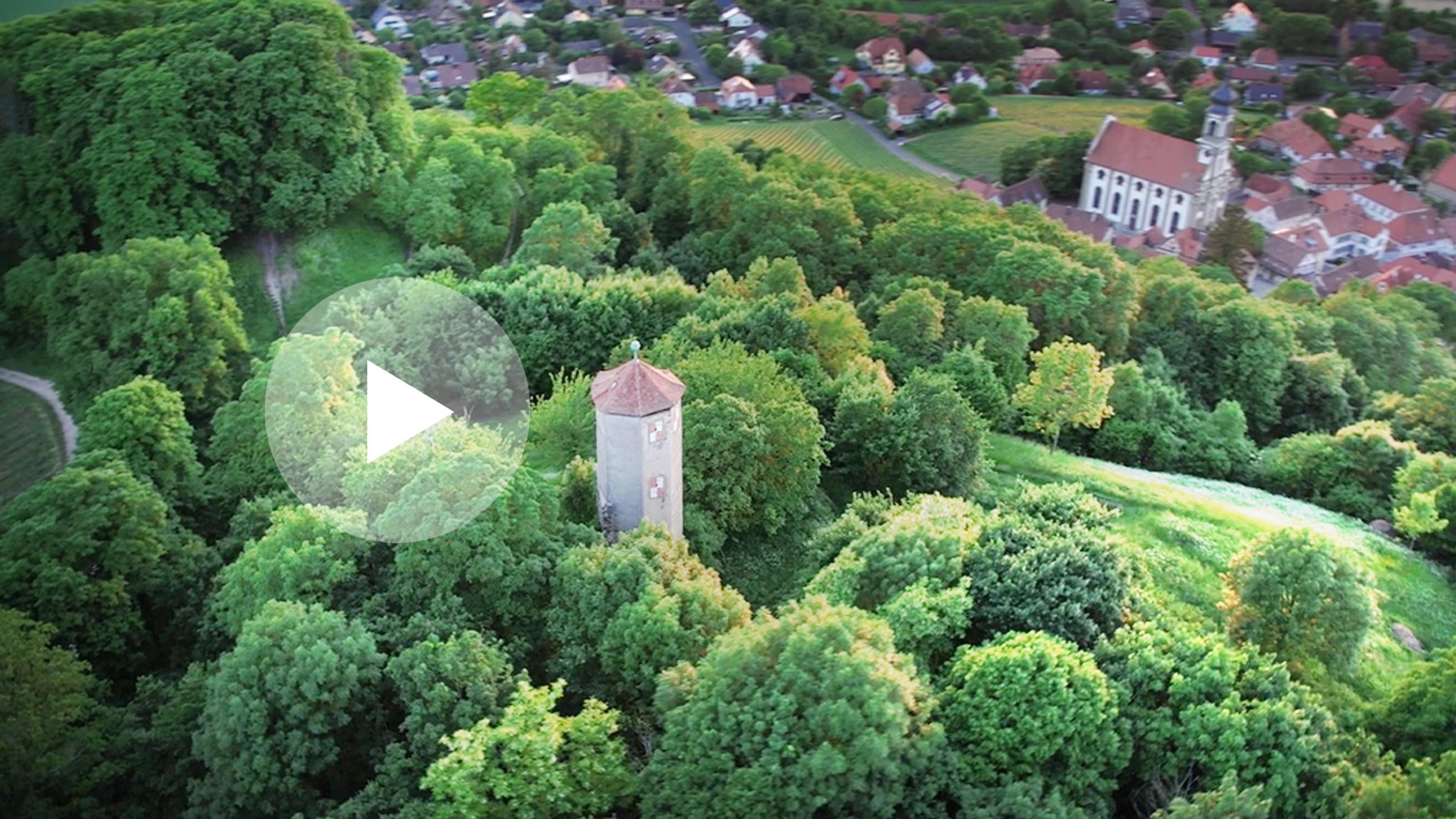Luftaufnahme eines bewaldeten Hügels mit einem Turm in der Mitte und einem Dorf mit Kirche im Hintergrund